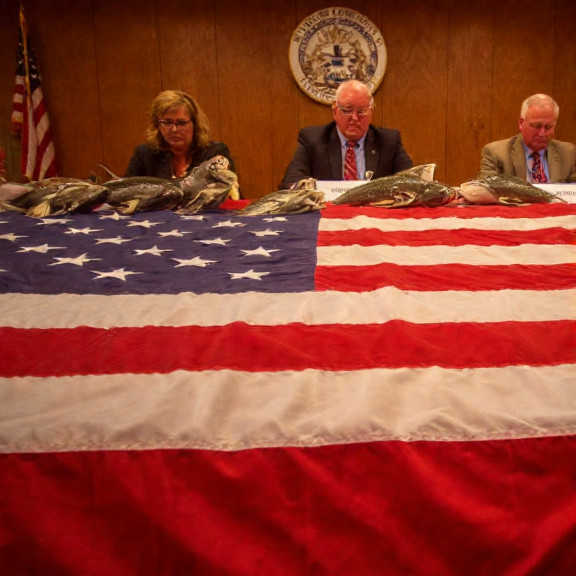 Vermilion City Council meeting with a giant American flag draped over a table full of fish photo trophies