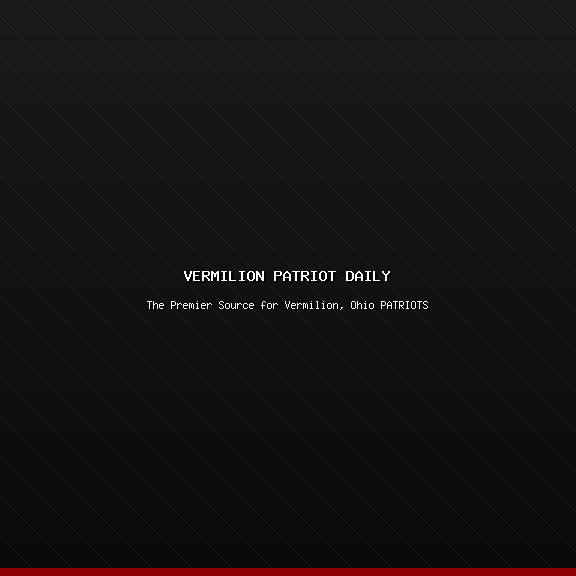 waitress in a "Vermilion Patriot Daily" apron placing a copy of "Patriot Books Only, Please" on a diner table next to a coffee cup